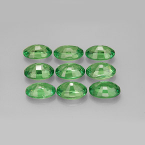 Achetez naturel ct vert grenat tsavorite gems, coupe ovale, en provenance tanzanie chez gemselect. en stock, livraison internationale!
