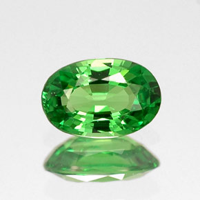 Grenat tsavorite vert naturelle coupe ovale, 0,53 ct, VVS