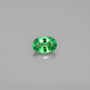 Grenat Tsavorite Vert chrome naturelle Coupe ovale, 0.56 ct, VS