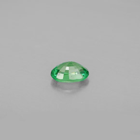 Grenat Tsavorite Vert chrome naturelle Coupe ovale, 0.56 ct, VS