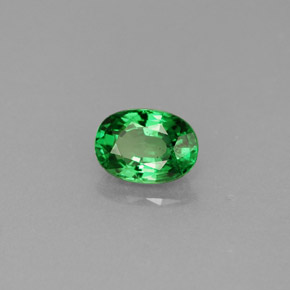 Grenat Tsavorite Vert chrome naturelle Coupe ovale, 0.69 ct, VS
