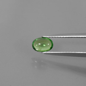 Grenat Tsavorite Vert chrome naturelle Coupe ovale, 0.63 ct, Transparent