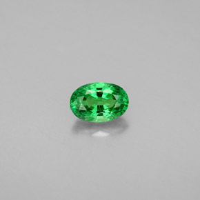 Grenat tsavorite vert naturelle coupe ovale, 0,71 ct, VS