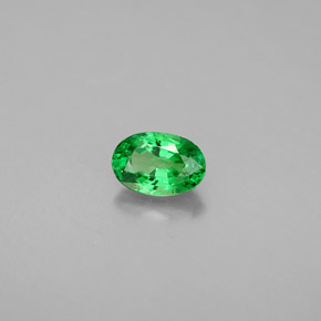 Grenat tsavorite vert naturelle coupe ovale, 0,71 ct, VS