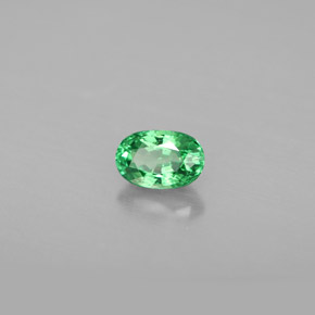 Grenat Tsavorite Vert chrome naturelle Coupe ovale, 0.64 ct, VS