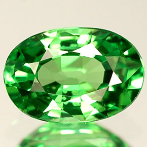 Grenat tsavorite vert naturelle coupe ovale, 0,64 ct, VVS