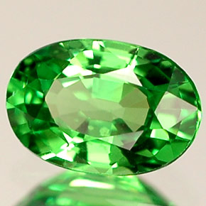 Grenat tsavorite vert naturelle coupe ovale, 0,64 ct, VVS