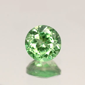 Grenat Tsavorite Vert éclatant naturelle Coupe roude, 0.41 ct, VVS-VS