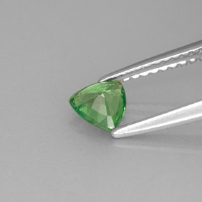 Grenat tsavorite vert naturelle trillion, 0,43 ct, VS