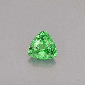 Grenat Tsavorite Vert chrome naturelle Trillion, 0.30 ct, VS