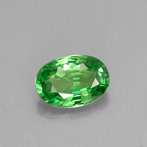 Grenat tsavorite vert naturelle coupe ovale, 0,64 ct, VVS-VS