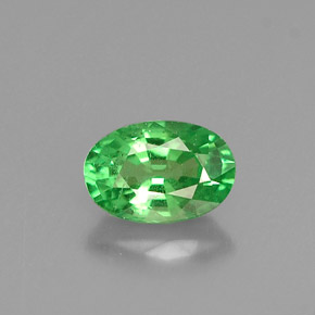 Grenat tsavorite vert naturelle coupe ovale, 0,57 ct, VS-SI