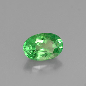Grenat tsavorite vert naturelle coupe ovale, 0,57 ct, VS-SI