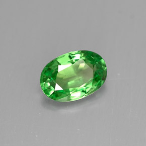 Grenat tsavorite vert naturelle coupe ovale, 0,54 ct, VS