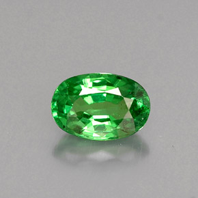 Grenat tsavorite vert naturelle coupe ovale, 0,61 ct, VS