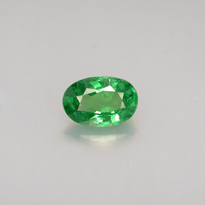 Grenat tsavorite vert naturelle coupe ovale, 0,56 ct, VS