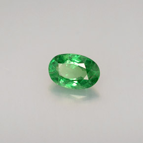 Grenat tsavorite vert naturelle coupe ovale, 0,56 ct, VS
