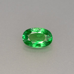 Grenat Tsavorite Vert chrome naturelle Coupe ovale, 0.60 ct, VS