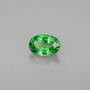 Grenat tsavorite vert naturelle coupe ovale, 0,68 ct, VS