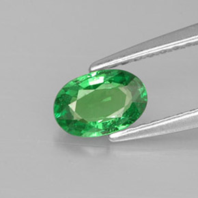 Grenat tsavorite vert naturelle coupe ovale, 0,56 ct, VS
