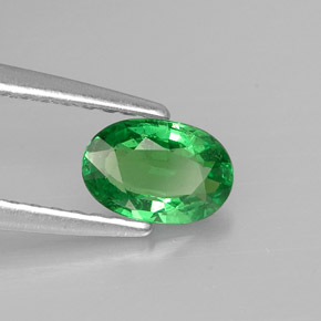 Grenat tsavorite vert naturelle coupe ovale, 0,56 ct, VS