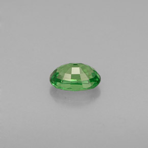 Grenat tsavorite vert naturelle coupe ovale, 0,63 ct, SI
