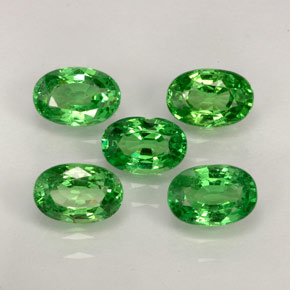 Achetez naturel ct vert grenat tsavorite gems, coupe ovale, en provenance tanzanie chez gemselect. en stock, livraison internationale!
