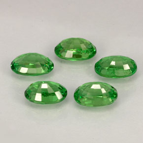 Achetez naturel ct vert grenat tsavorite gems, coupe ovale, en provenance tanzanie chez gemselect. en stock, livraison internationale!