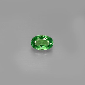 Grenat tsavorite vert naturelle coupe ovale, 0,62 ct, VVS-VS