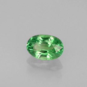 Grenat tsavorite vert naturelle coupe ovale, 0,61 ct, VS