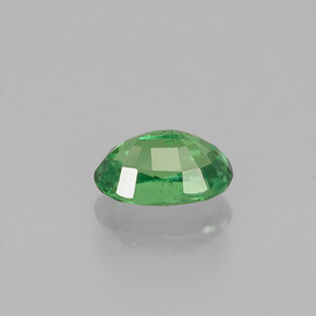 Grenat tsavorite vert naturelle coupe ovale, 0,61 ct, VS