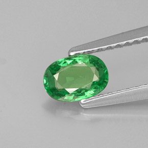 Grenat tsavorite vert naturelle coupe ovale, 0,55 ct, VS-SI