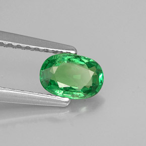 Grenat tsavorite vert naturelle coupe ovale, 0,55 ct, VS-SI
