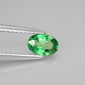 Grenat Tsavorite Vert chrome naturelle Coupe ovale, 0.54 ct, VVS-VS