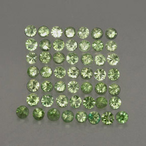 Achetez naturel ct vert grenat tsavorite gems, coupe roude, en provenance tanzanie chez gemselect. en stock, livraison internationale!