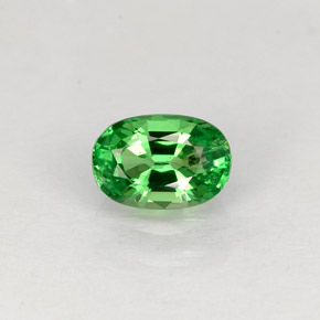 Grenat tsavorite vert naturelle coupe ovale, 0,63 ct, VS