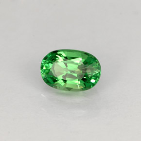 Grenat tsavorite vert naturelle coupe ovale, 0,63 ct, VS