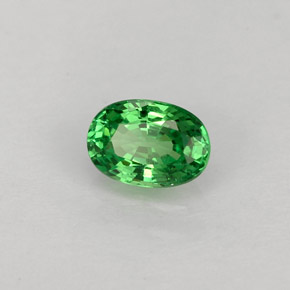 Grenat Tsavorite Vert naturelle Coupe ovale, 0.65 ct, VS