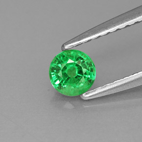 Grenat tsavorite vert naturelle coupe roude, 0,30 ct, VS