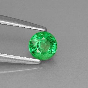 Grenat tsavorite vert naturelle coupe roude, 0,30 ct, VS