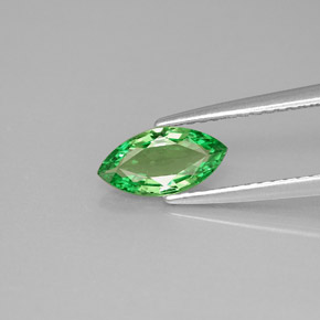Grenat tsavorite vert naturelle marquise, 0,75 ct, VVS-VS