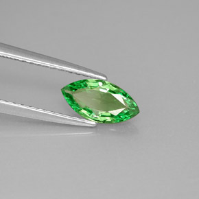 Grenat tsavorite vert naturelle marquise, 0,75 ct, VVS-VS