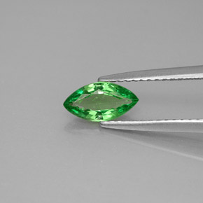 Grenat tsavorite vert naturelle marquise, 0,64 ct, VVS-VS