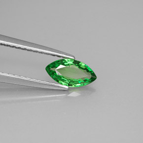 Grenat tsavorite vert naturelle marquise, 0,49 ct, VS-SI