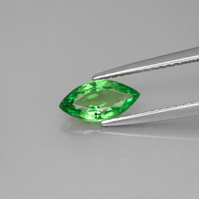 Grenat tsavorite vert naturelle marquise, 0,83 ct, VVS-VS