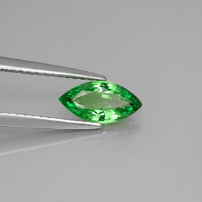 Grenat tsavorite vert naturelle marquise, 0,83 ct, VVS-VS
