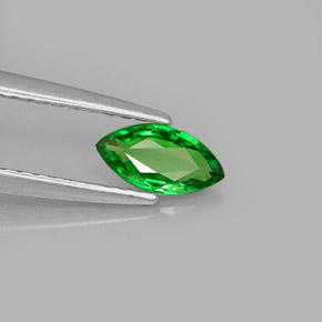 Grenat tsavorite vert naturelle marquise, 0,41 ct, VS