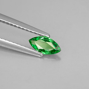 Grenat tsavorite vert naturelle marquise, 0,33 ct, VVS-VS