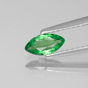 Grenat tsavorite vert naturelle marquise, 0,34 ct, VS