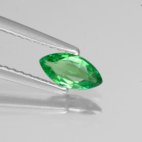 Grenat tsavorite vert naturelle marquise, 0,34 ct, VS